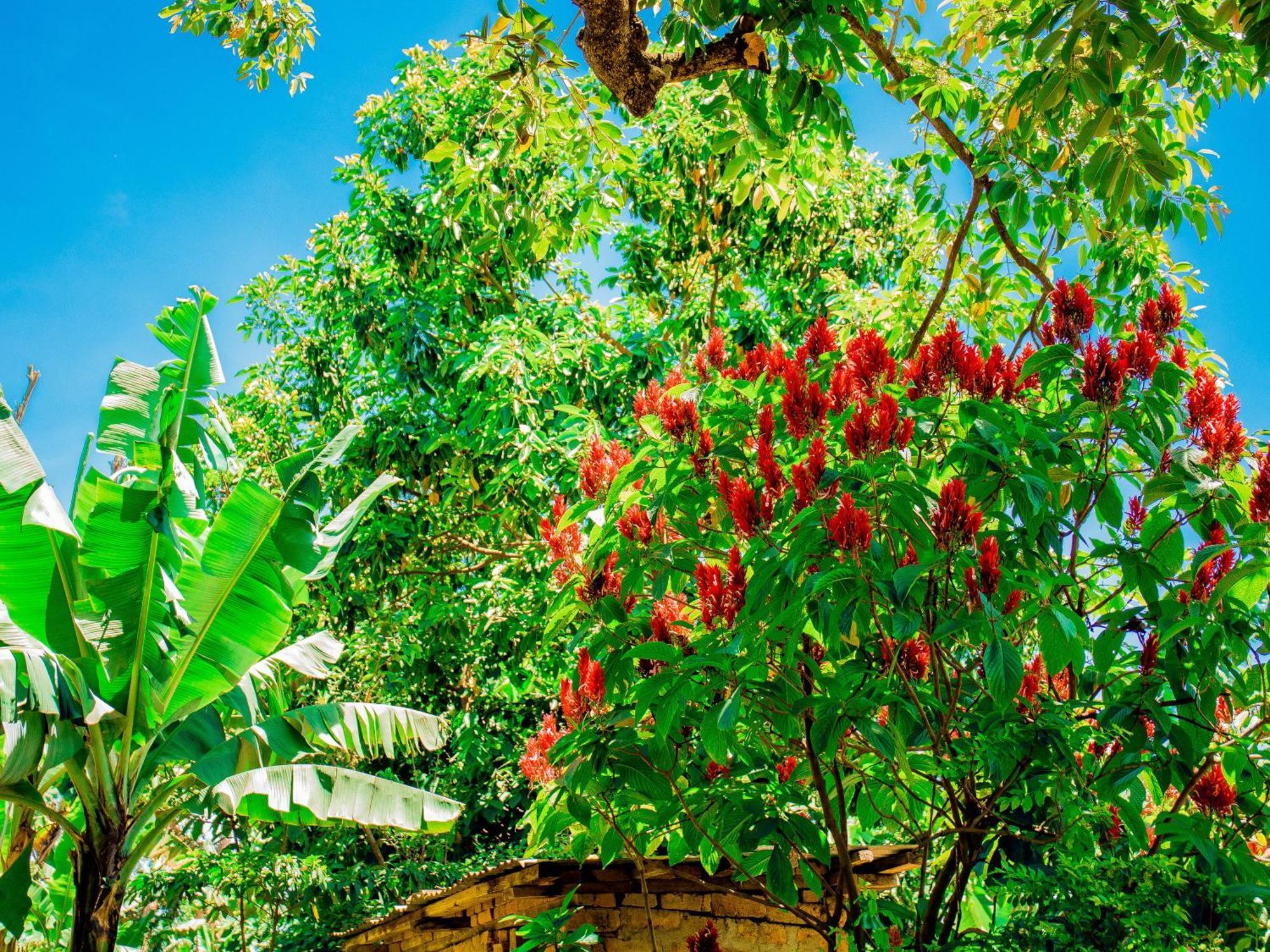 Arusha Jua Home Extérieur photo